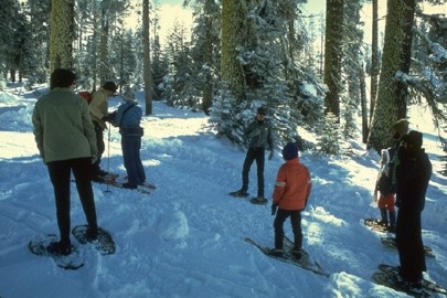 View of snow shoeing at Badger Pass
